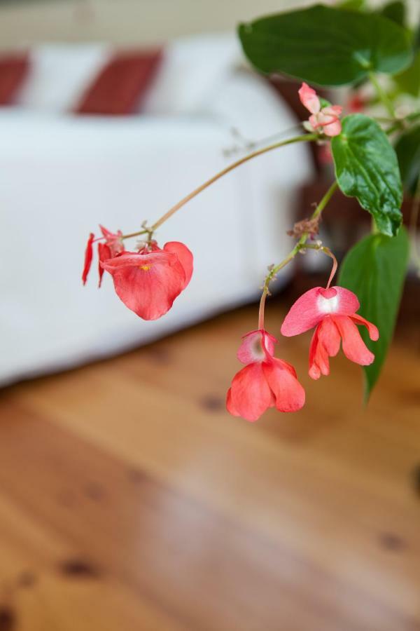 Bed and Breakfast Whitford House And Twin View Barn Addison Екстер'єр фото